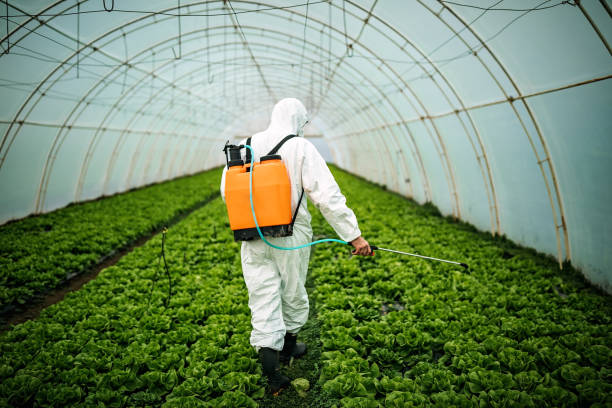 Best Affordable Pest Control Services  in Plano, IL