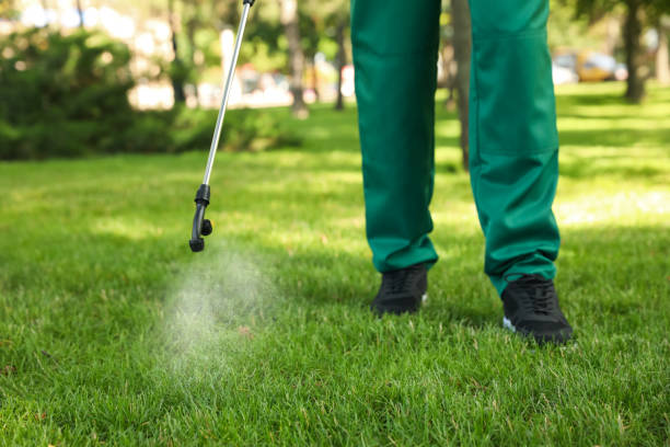 Best Emergency Pest Control  in Plano, IL