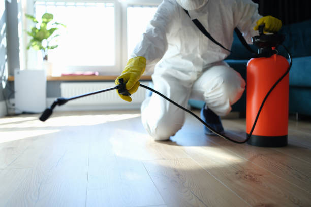 Best Residential Pest Control  in Plano, IL