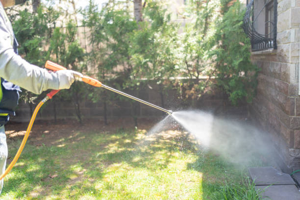 Best Pest Prevention Services  in Plano, IL